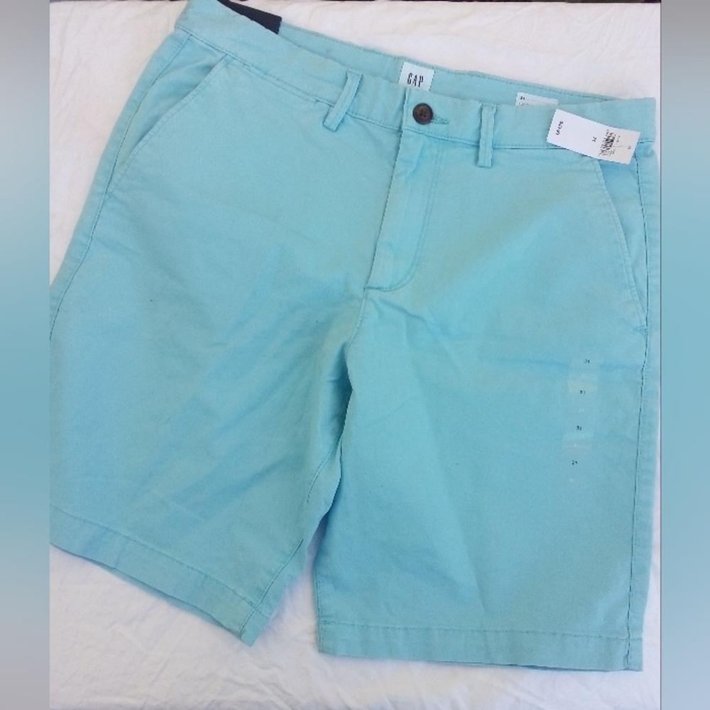 Gap teal shorts woman's size 31